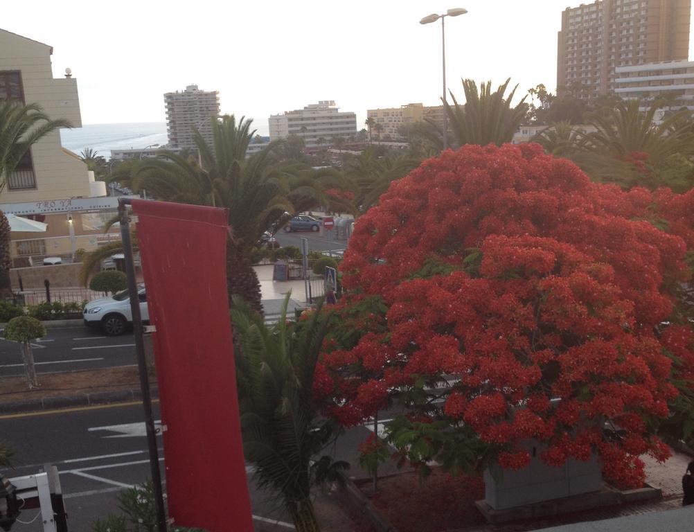 Penthouse El Mirador Los Cristianos Tenerife - Vv Oda fotoğraf